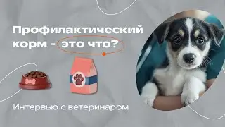 Всё о профилактических кормах: интервью с ветеринаром. В чем их отличие от ветеринарных?