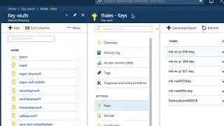 CipherTrust Cloud Key Manager Demonstration