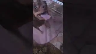ужасный ливень(1)