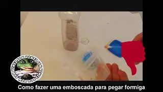 COMO FAZER UMA EMBOSCADA PARA FORMIGA