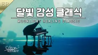 은은한 달빛감성 피아노 클래식 | 독서 | 명상 | 공부 | 수면