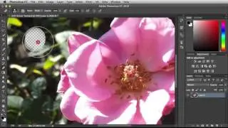 Adobe Photoshop 