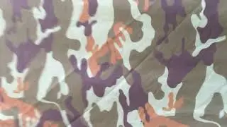 Карино жизнь на заимке..