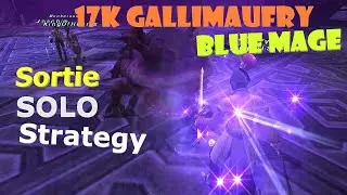 FFXI Blue Mage || Sortie Solo Strategy - 17k Gallimaufry Goal || Part 1