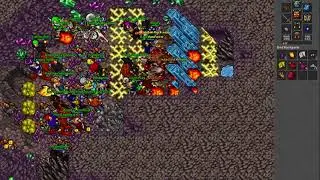 Ozzy Poty (279) [Elite Knight] - Solera