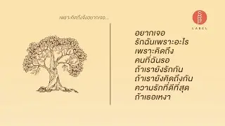 เพราะคิดถึงจึงอยากเจอ...(Playlist Long Play)