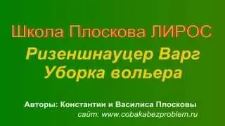 Дрессировка ризеншнауцера Варга. Уборка вольера