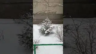 Снегопад😊 