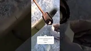 карась в замор на тягу. #рыбалка #fishing #рыба