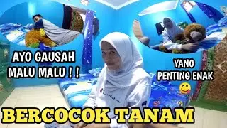 SI IPONG NGAJAK ENAK ENAK DIKAMAR DI BULAN PUASA