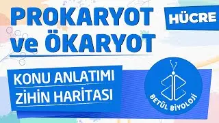 Hücre | Prokaryot ve Ökaryot | Konu Anlatımı | 9. Sınıf Biyoloji | TYT Biyoloji