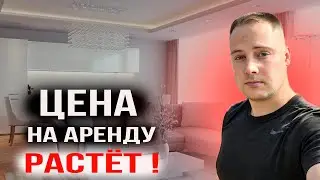 Аренда квартир продолжает расти! Как заработать на недвижимости.