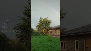 Живите , любите