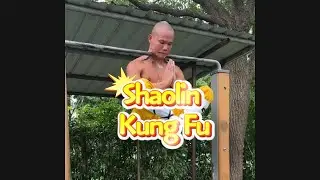 Would you like to spend 1 million to learn Shaolin Kung Fu?#kungfuskills #shaolin #martialarts
