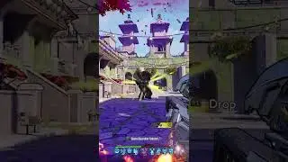 There's Crossbows in Borderlands 3?