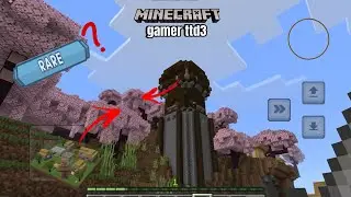 Is This Rare?