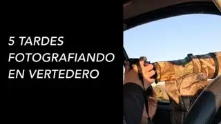 5 tardes fotografiando en vertedero