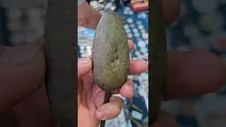 Ростовский клуб коллекционеров #900 #metaldetecting #коп2024 #эквинокс #антиквариат #history #trevel
