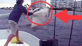 Best Cast Netting Bait Method