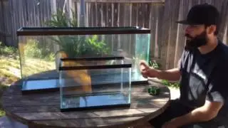 How to tell how many gallons a fish tank is.