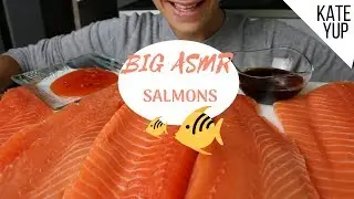 BIG ASMR SALMONS !!!!! BIG BITES / SAVAGE EATING ! wooOOooww