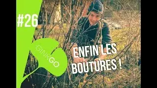 Potager bio : Il est temps de faire quelques boutures !