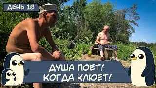 (День 18) Душа Поет! Когда Клюет!