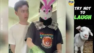 Cooking Fails | The sheep reaction (p30)  #reaction #funnymoments #viralvideo  #funny #viral