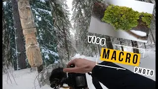 Relaxing POV Nature Photography / Прогулка по лесу / Фото-охота / Резьба по дереву / Идолы / Winter