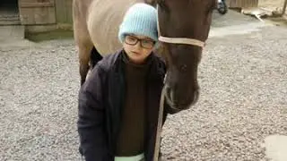 imagem top de cavalo criolo puro