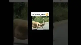 11 ноября 2023 г.