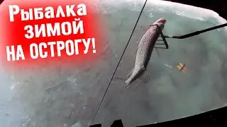 Ловля щуки на копье " острогу" на местном озере в деревне!