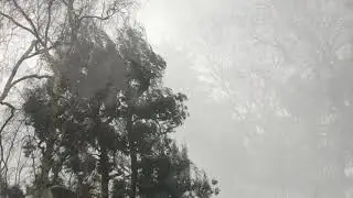 Storm Dennis - 16th February 2020