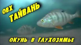 Зимняя Рыбалка ОВХ ТАЙВАНЬ. Окунь в глухозимье.