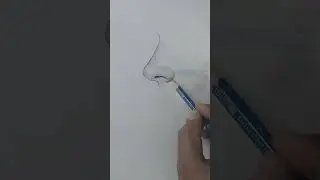 Satisfying Nose Drawing Method 