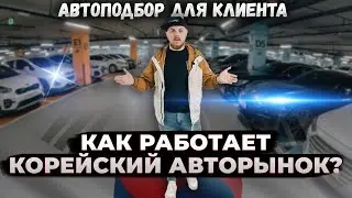 Как работает Авторынок в Корее? | Автоподбор для клиента