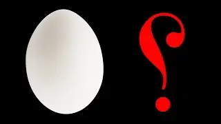 لماذا البيض بيضوي؟