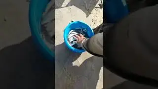 ловля сельди на Дону открыли сезон  