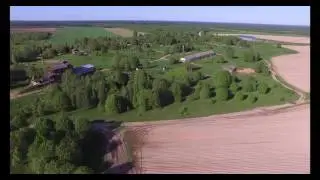 Картофельные поля СПК Надежда