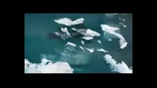 Good Relaxing Music with Beautiful Nature Scenes in 4K Quality • Relax, Sleep, Meditate, Study