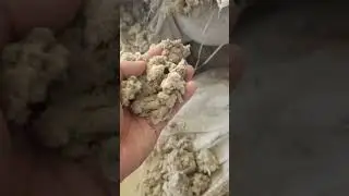 Пыль хлопковая на экспорт в сентябре