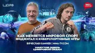 Как меняется спорт – фиджитал и киберспортивные игры: Вячеслав Камнев | Набутов здесь.Цифровой океан