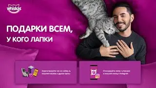 Акция Whiskas «День Кошек 2021»