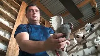 Божественные дивные создания. 27 июля 2023 год
