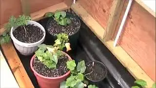 Greenhouse Update - Old video - Hoop House / green house DIY