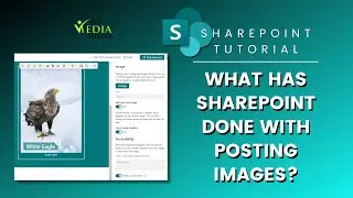 What Has SharePoint Done With Posting Images?