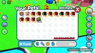I Hatched The New Rainbow Shiny Hot Dog In Pet Simulator X