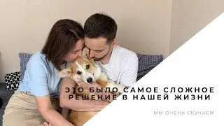 Гарри больше не будет с нами | почему мы пропали с канала