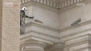 Операция по спасению кота с колоннады