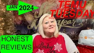 TEMU PRODUCT REVIEW || A TOP PICK OF 2023! #31